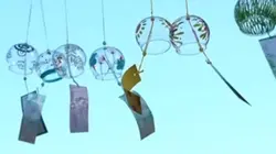 夏🩵