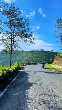 6 video road trip