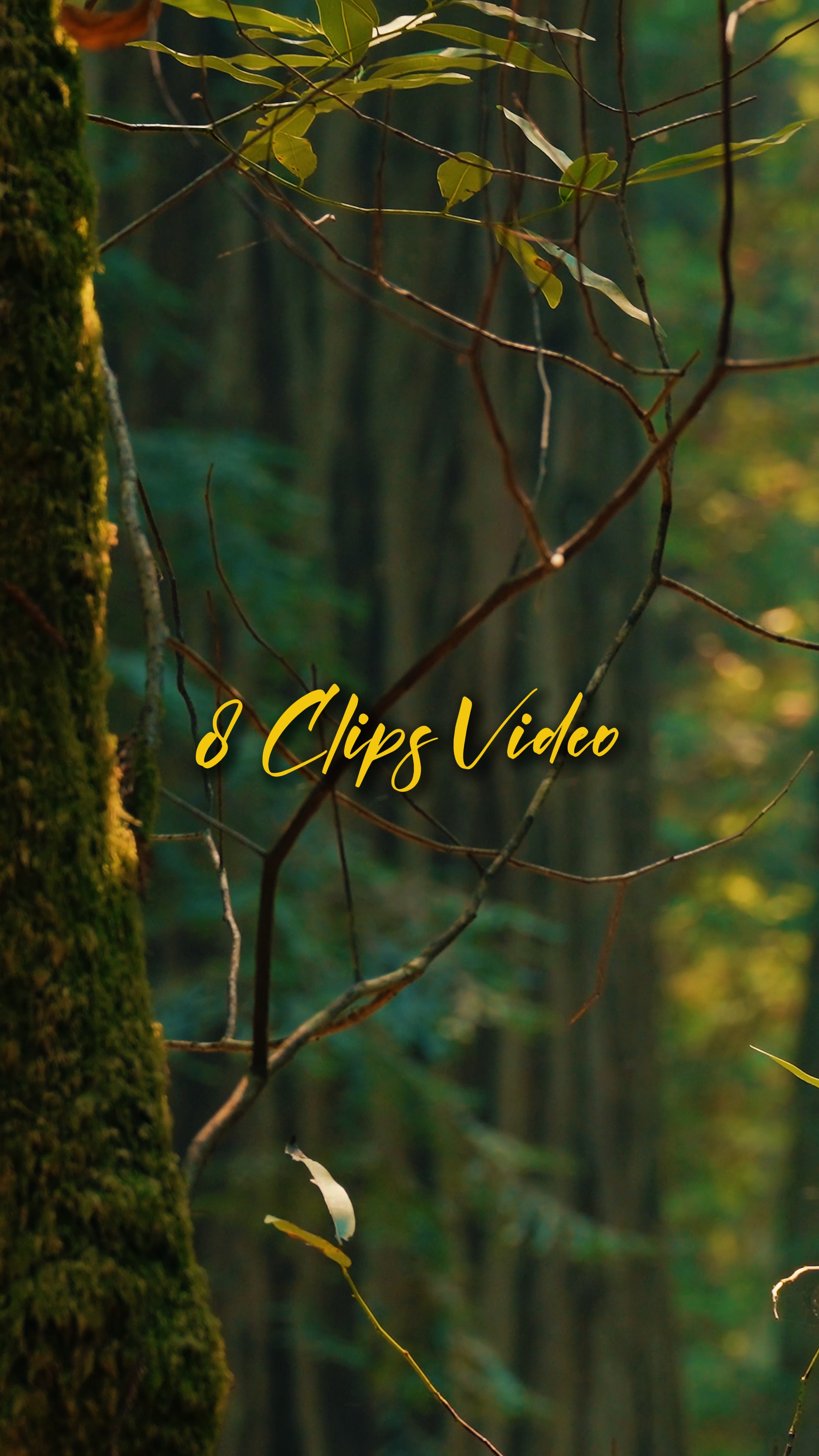 Cinematic 8 Video