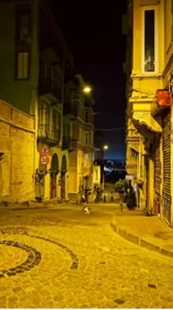 Gelip görmek istiyor