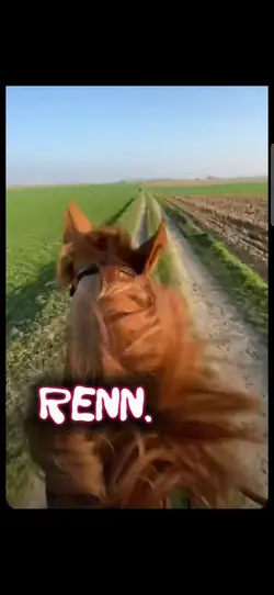 renn