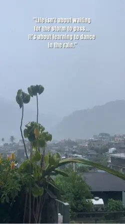 rain