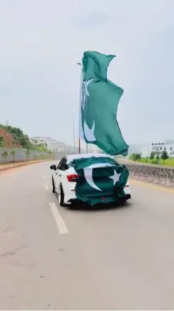 Independence Day 14