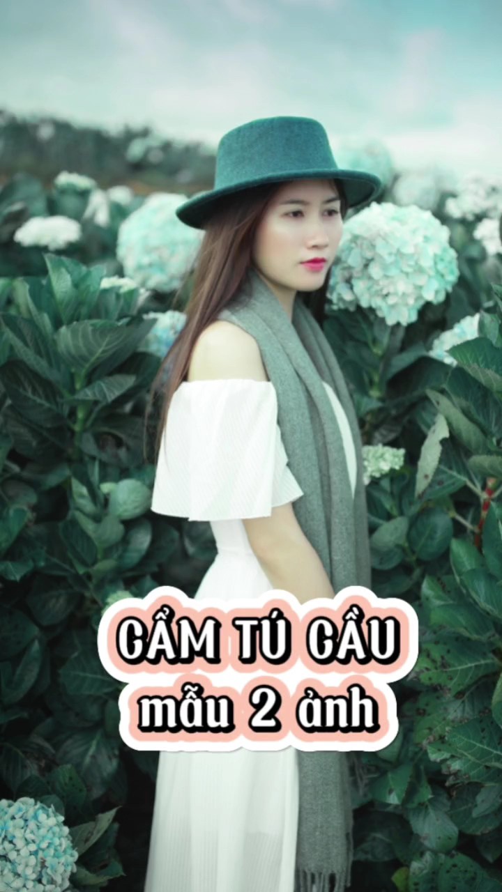 Cẩm tú cầu 2 pics