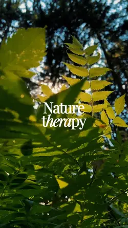 Nature therapy