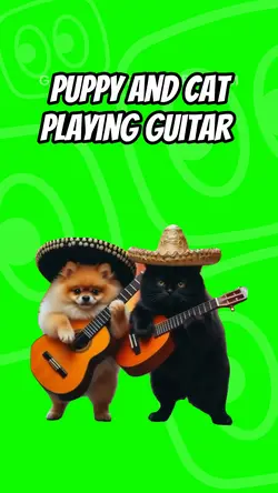 Pup cat guitar 