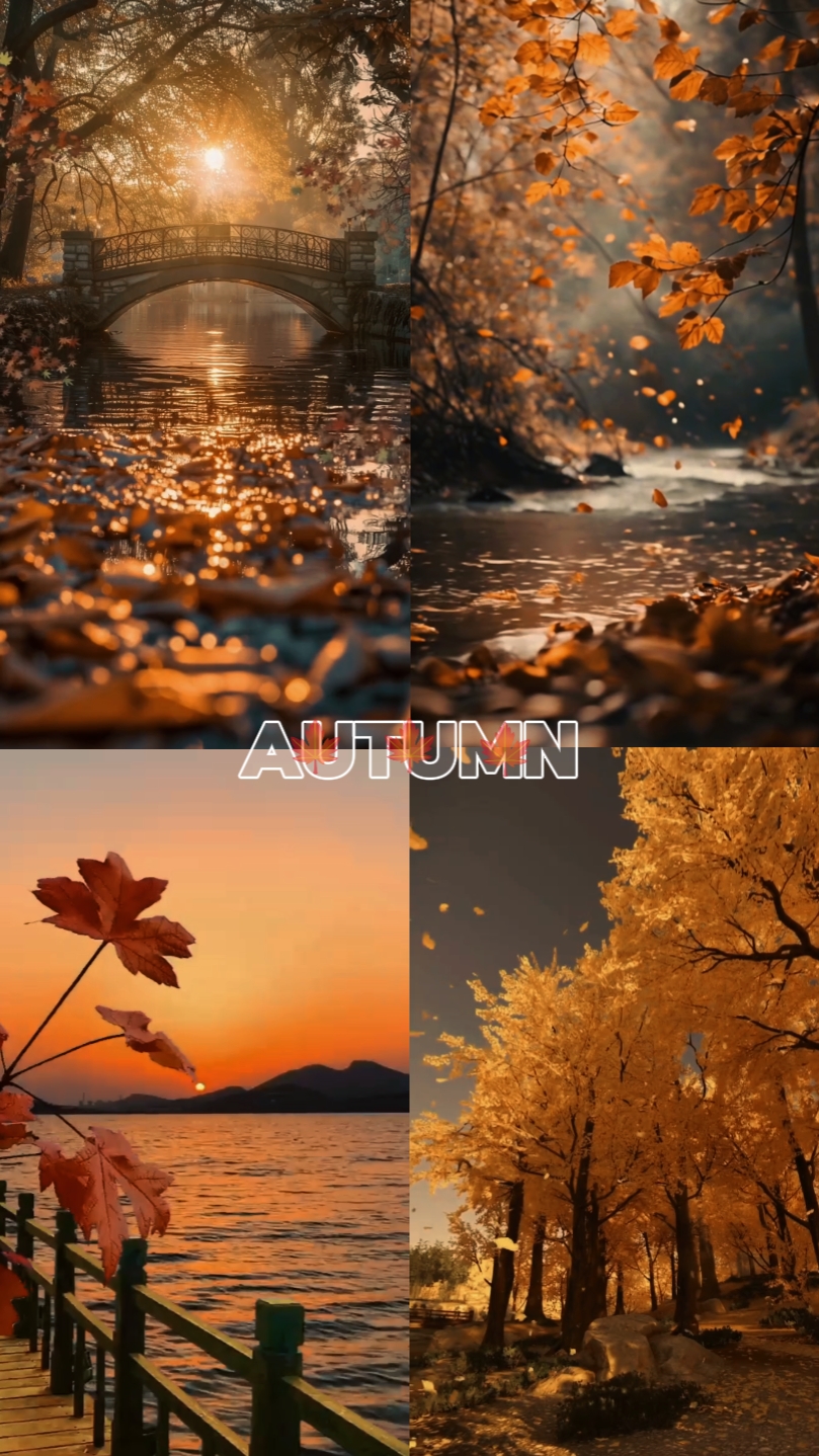 Autumn Season