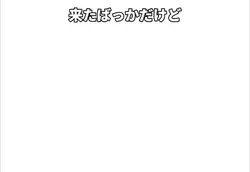 いろいろおかしい店