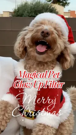 Xmas Pet GlowUp