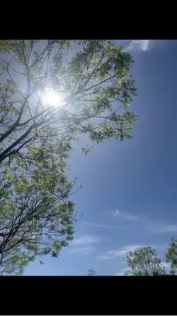 夏天就要结束啦