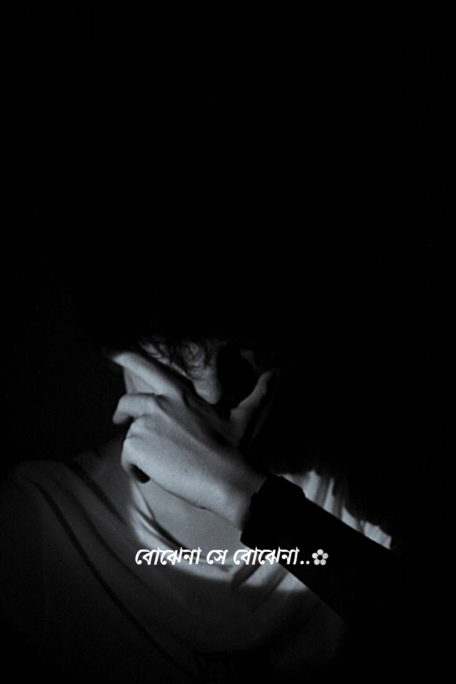 সে বুঝেনা 