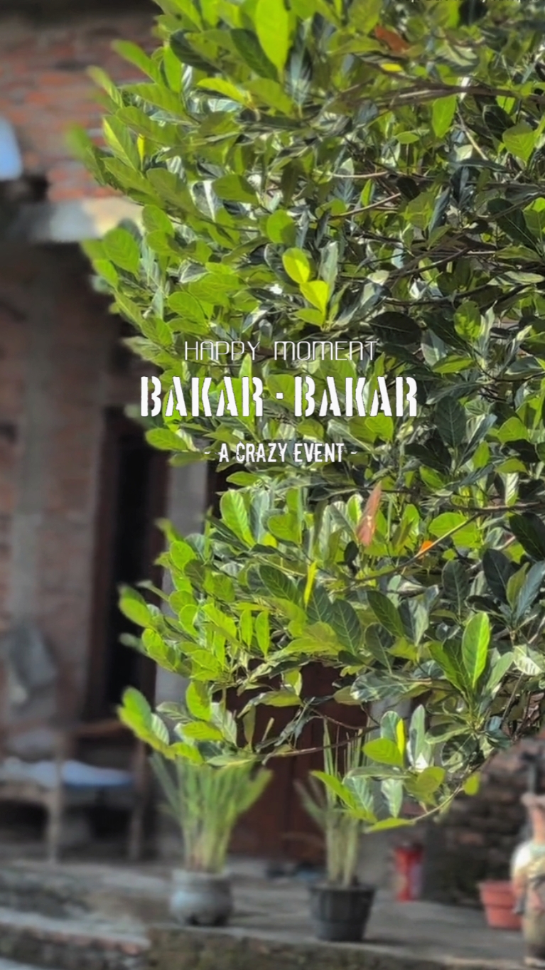 BAKAR2 CINEMATIK 