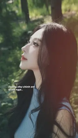 Phố Hoa Lệ❣️Lyrics