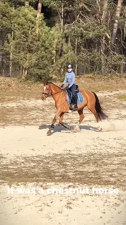 A chestnut horse 🐴💓