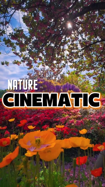 CINEMATIC 6 CLIPS