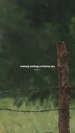 Wag kang paapekto