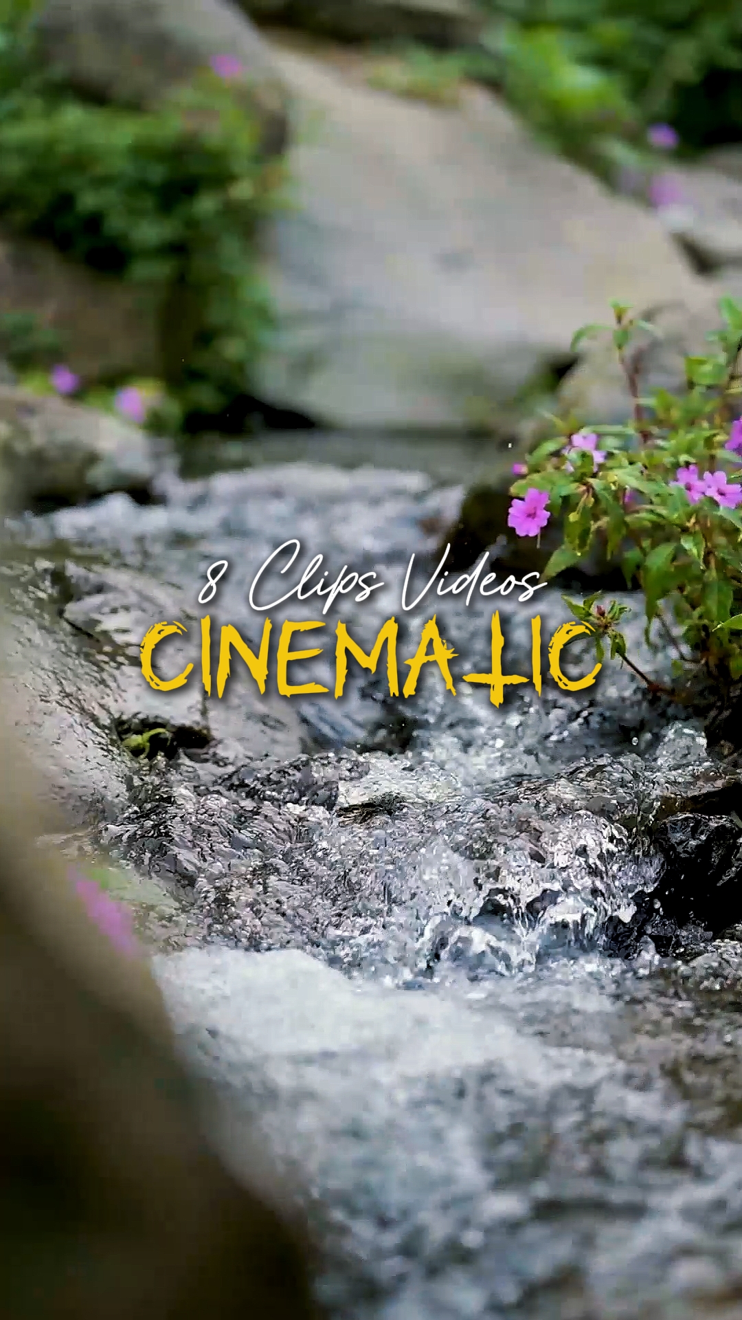 Cinematic 8 Vídeos