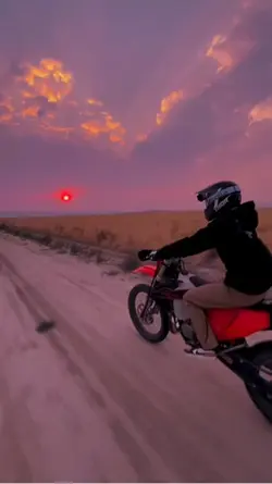 Toute la nuit  anyme