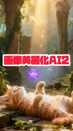 【改善】画像1枚をより美麗に✨