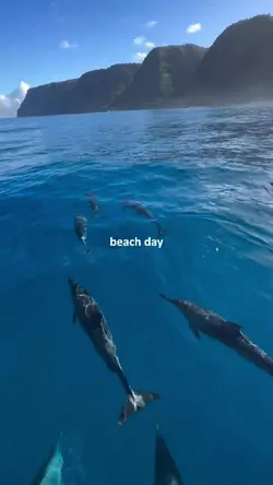 beach day