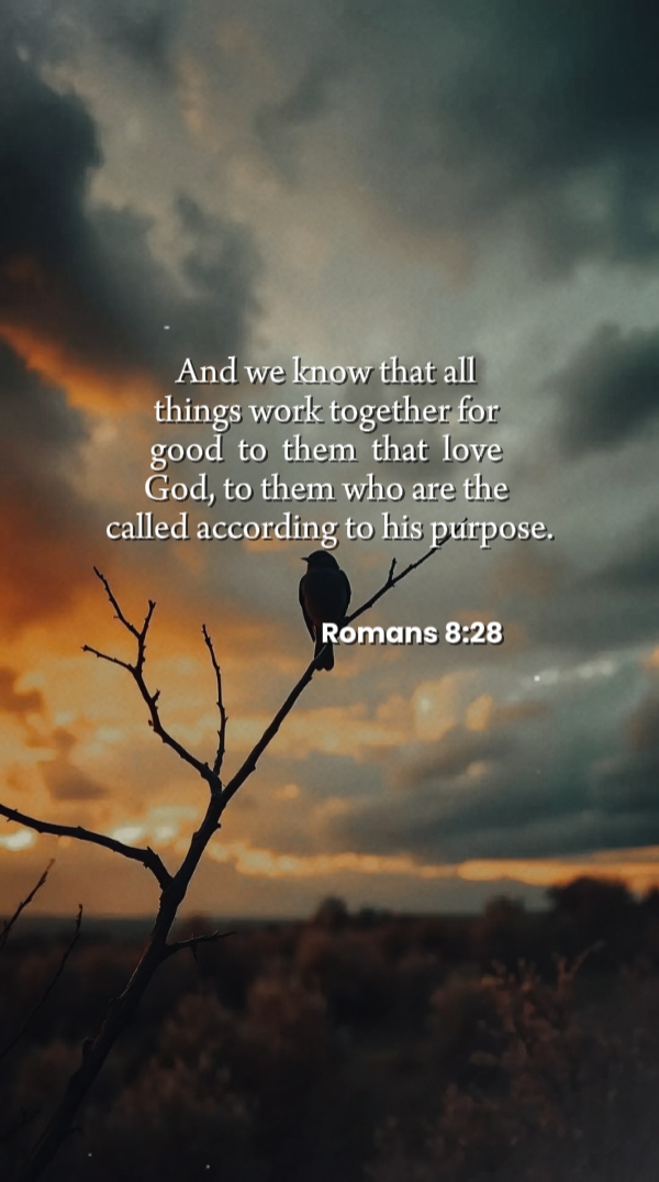 Romains 8 : 28