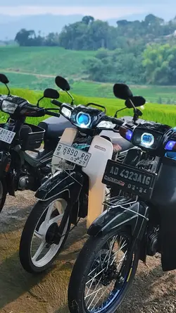 Cinta Mulia