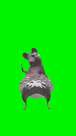 Don't Hide Rat