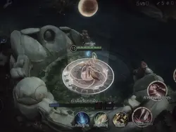 Rov 