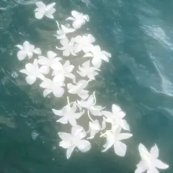 - 𝐋υcк 𝐆i𐑾ᥣ ? .