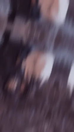 ﮼عشق‌فقط‌سه‌حرفه🌚