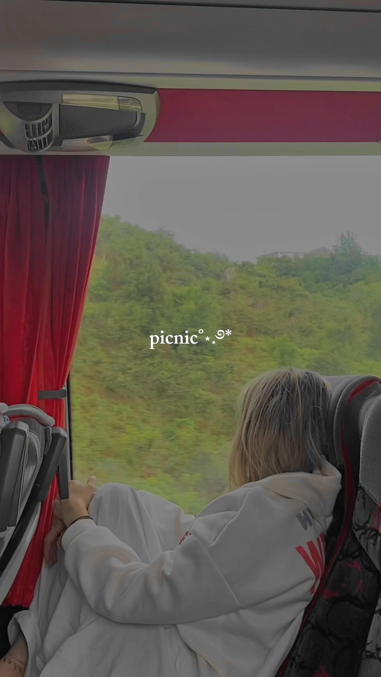 picnic vlog