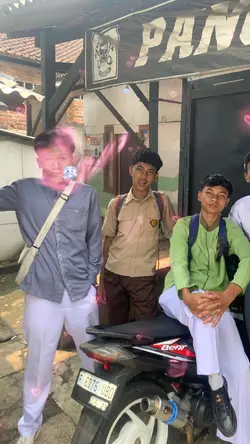 VER KUPU KUPU