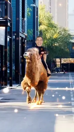 Cưỡi pet độc lạ