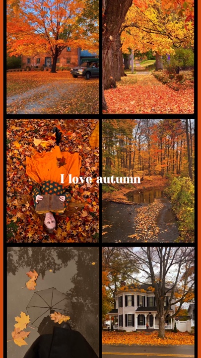 Ich liebe den Herbst