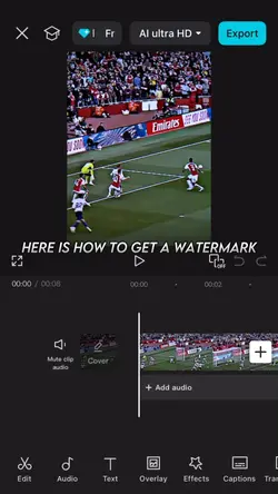 How to get watermark