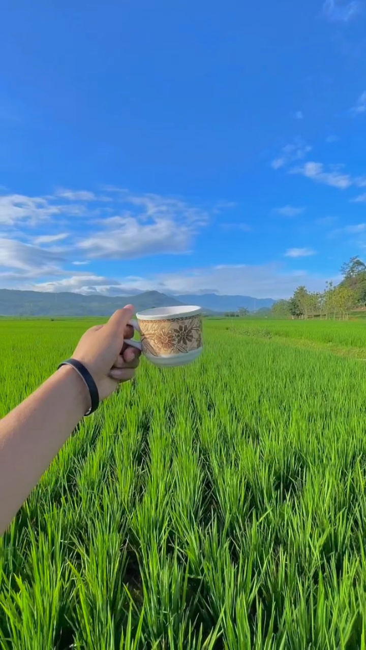 3 video filter cerah