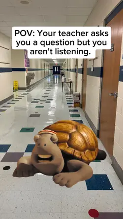 teacher asks you