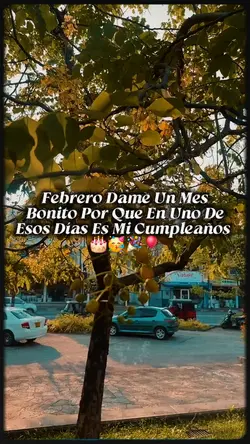 Mi Cumpleaños
