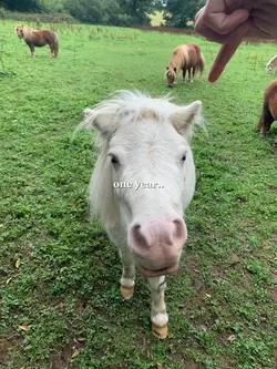 a thousand memories💗