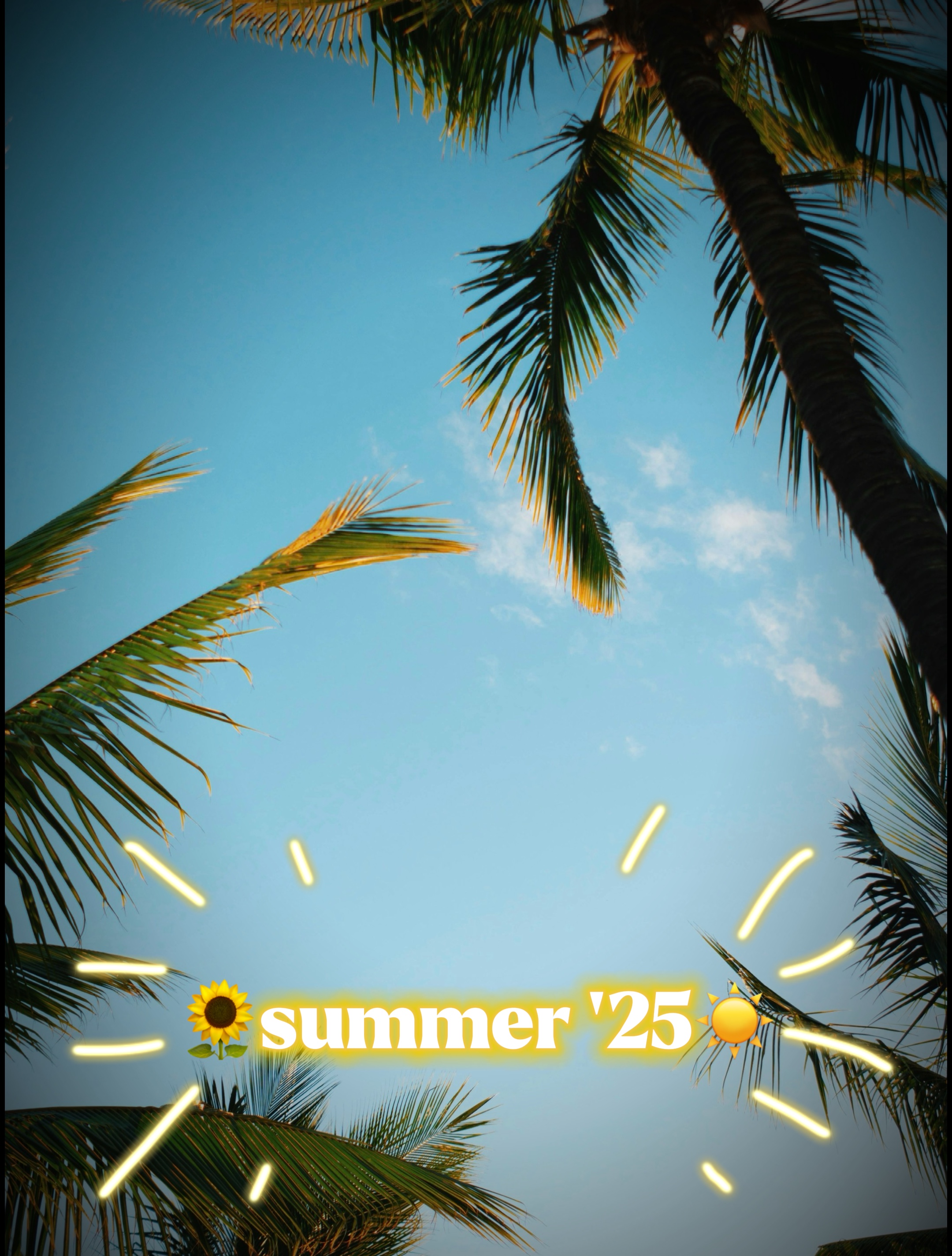 여름 사진 덤프☀️