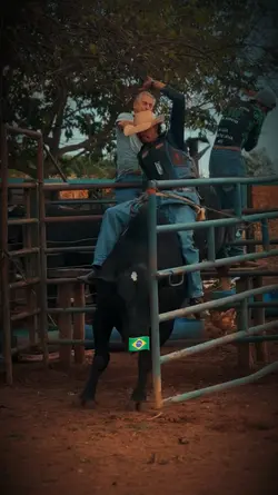 bullrider 