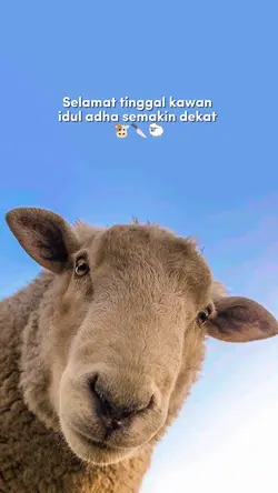 Iduladha bentar lagi