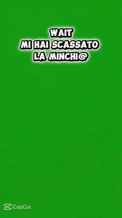 Aprite il video.