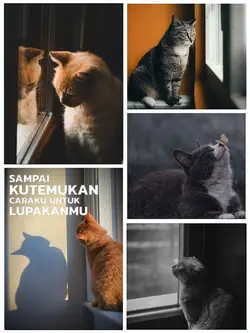 Kolase 5 Foto