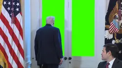 Trump Look a Window