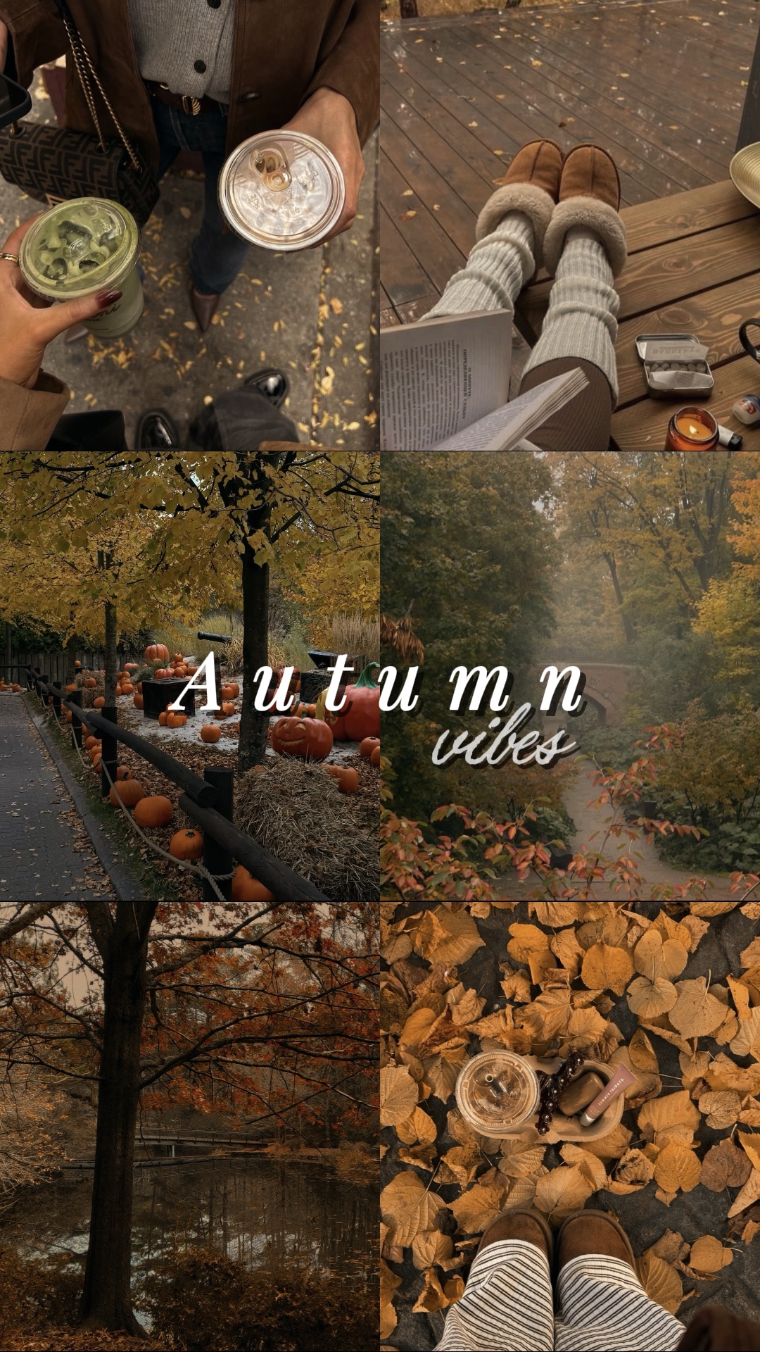 Automne 🍂