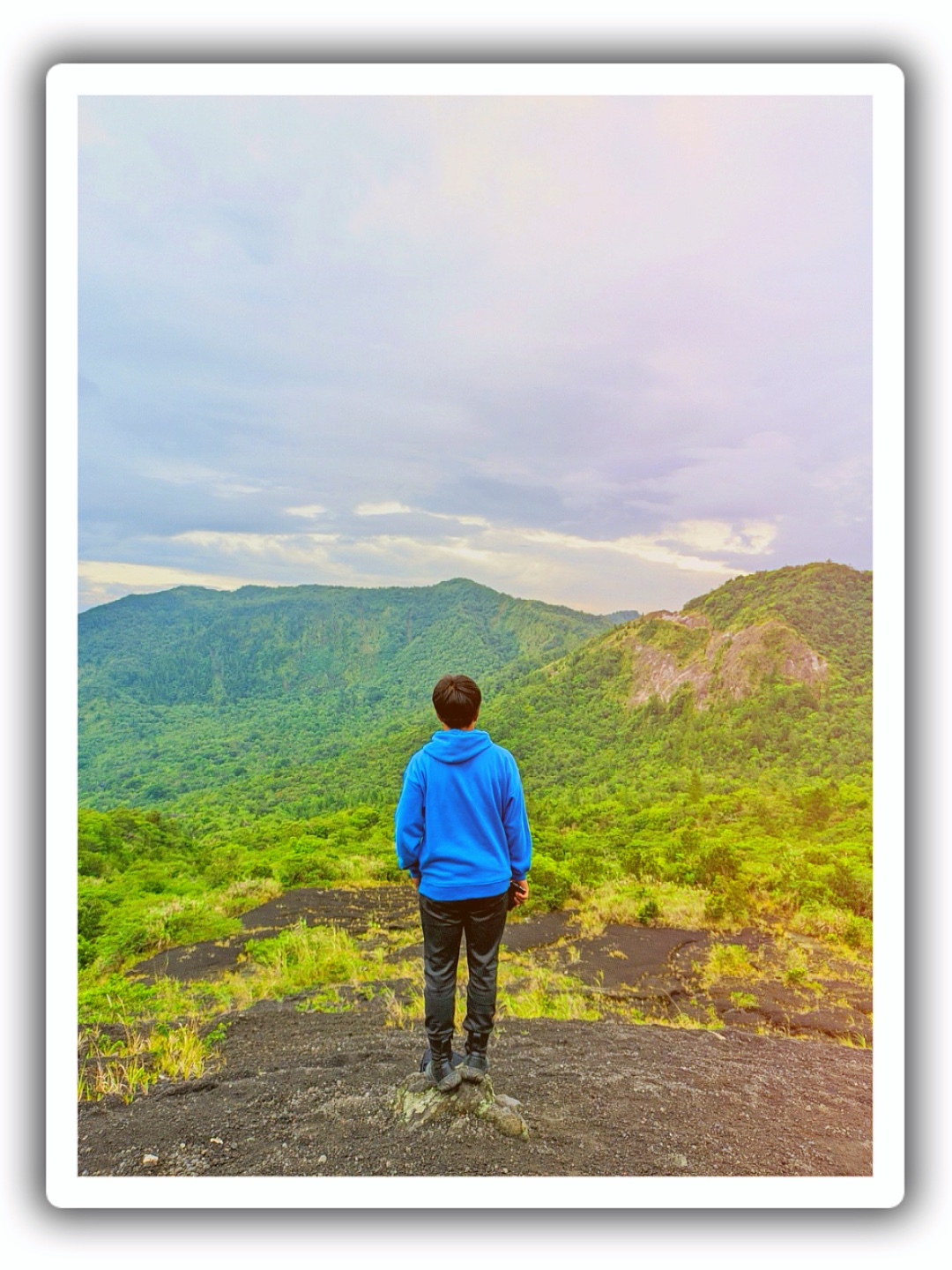 Cover Picture