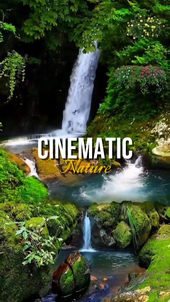 CINÉMATIQUE