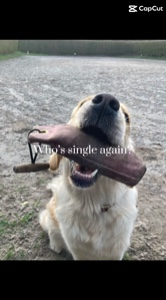 Yes I’m single again