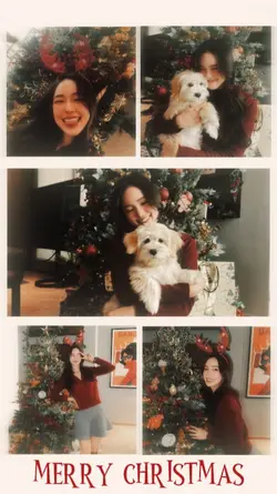 merry christmas
